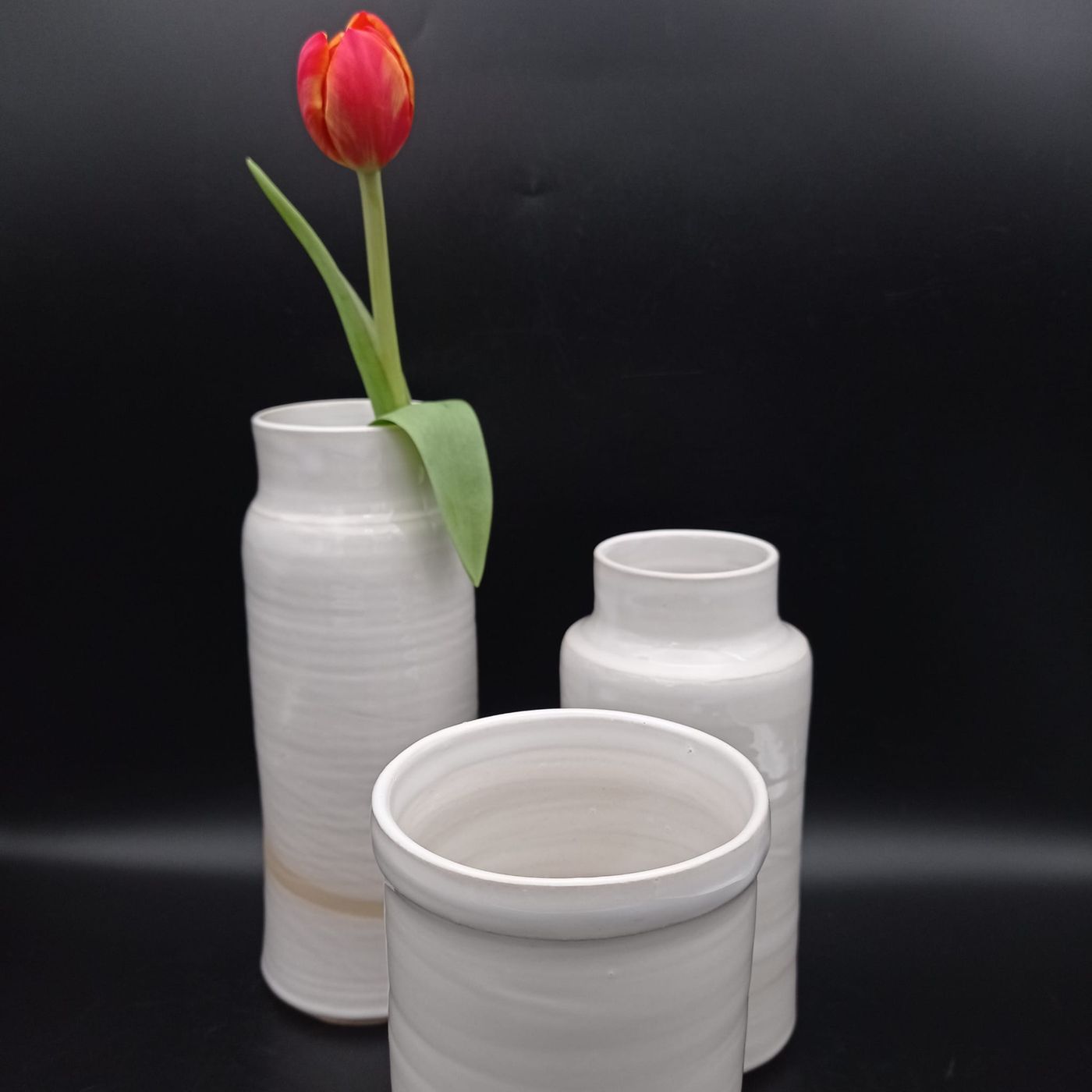 Ivory – Vasen